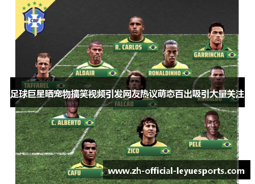 足球巨星晒宠物搞笑视频引发网友热议萌态百出吸引大量关注