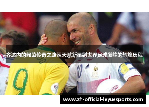 齐达内的绿茵传奇之路从天赋新星到世界足球巅峰的辉煌历程