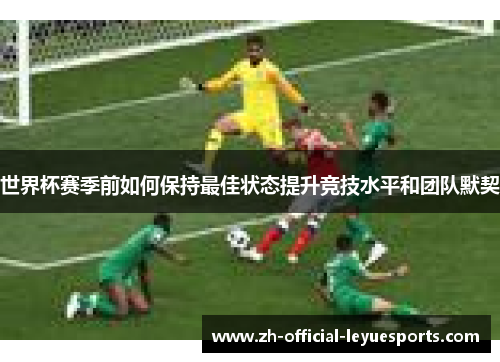 世界杯赛季前如何保持最佳状态提升竞技水平和团队默契